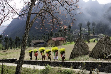 Cõng xuân về bản