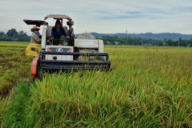 Chấn chỉnh chuyển nhượng đất nông nghiệp trái quy định