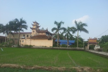 Sư trụ trì tự tử: Sư thầy thích “múa hát, chơi bời”?