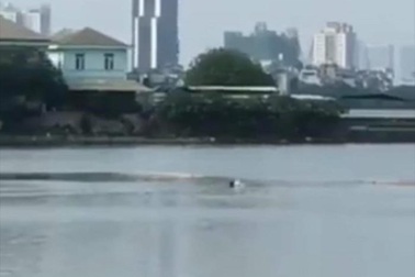 Hà Nội: Chạy "chốt" 141, nam thanh niên nhảy xuống hồ Tây