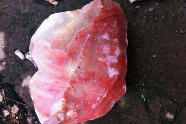 Ôm nợ vì đua nhau mua "đá lạ" cho thương lái Trung Quốc