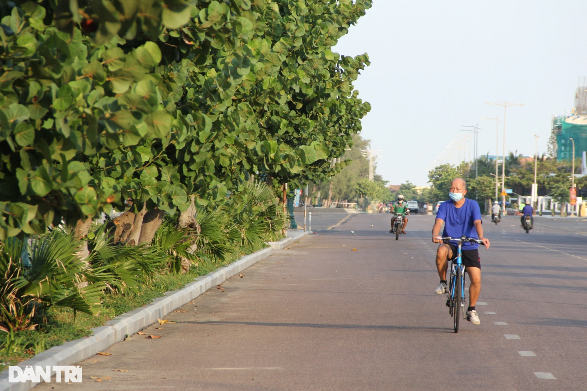 Lá tra xuất ngoại mang về tiền tỷ - 1 Lá tra xuất ngoại mang về tiền tỷ - 1