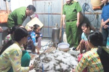 Bắt quả tang chủ 2 cơ sở là anh em ruột đang bơm tạp chất vào tôm