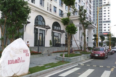 Hà Nội: Đấu giá trực tuyến 82 căn chung cư của Tổng công ty Lâm nghiệp