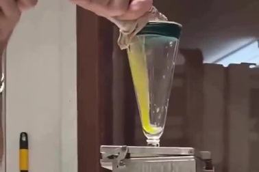 Lượng nọc độc tiết ra trong một nhát cắn của loài rắn chuông lưng đốm thoi