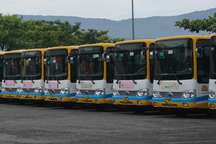 Tài xế xe buýt nghỉ việc vì "đi cày" 5 tháng không có lương