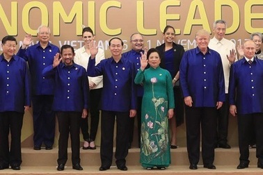 Việt Nam xuất khẩu những gì sang các nền kinh tế APEC?