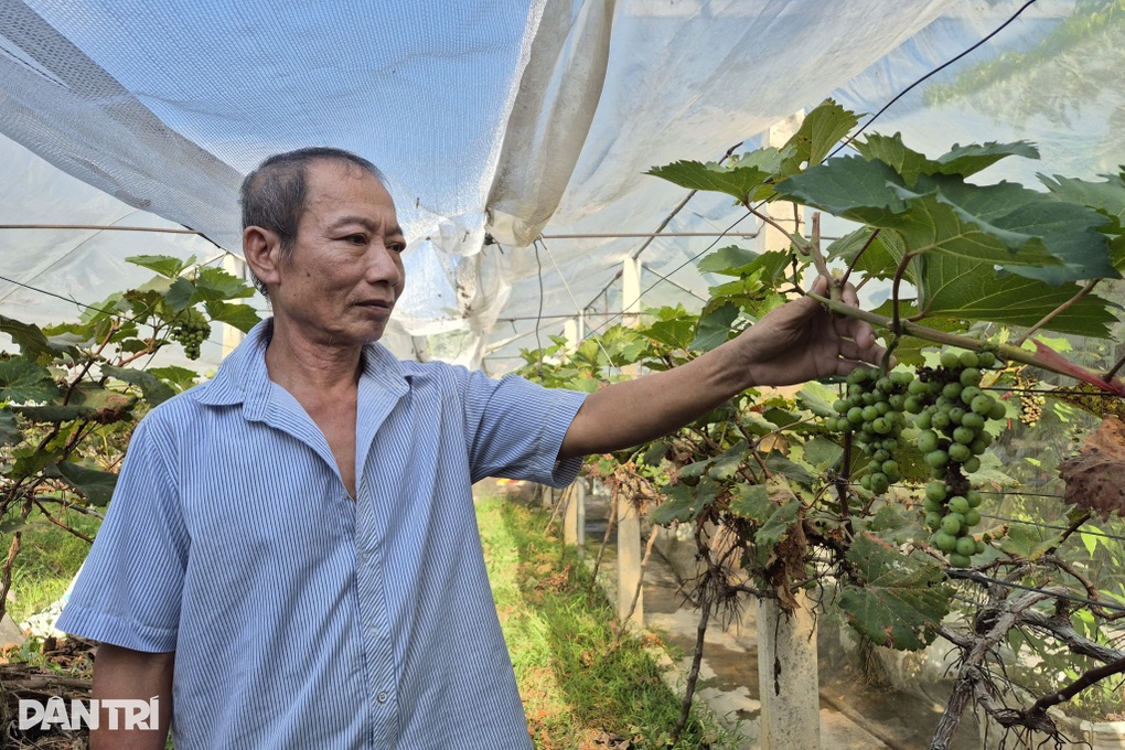 Người đàn ông ung thư “ém tiền của vợ, chinh phục loài cây khó tính - 1 Người đàn ông ung thư “ém tiền của vợ, chinh phục loài cây khó tính - 1