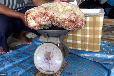 Ngư dân vô tình nhặt được "khối chất nôn" nặng 7 kg đáng giá cả gia tài