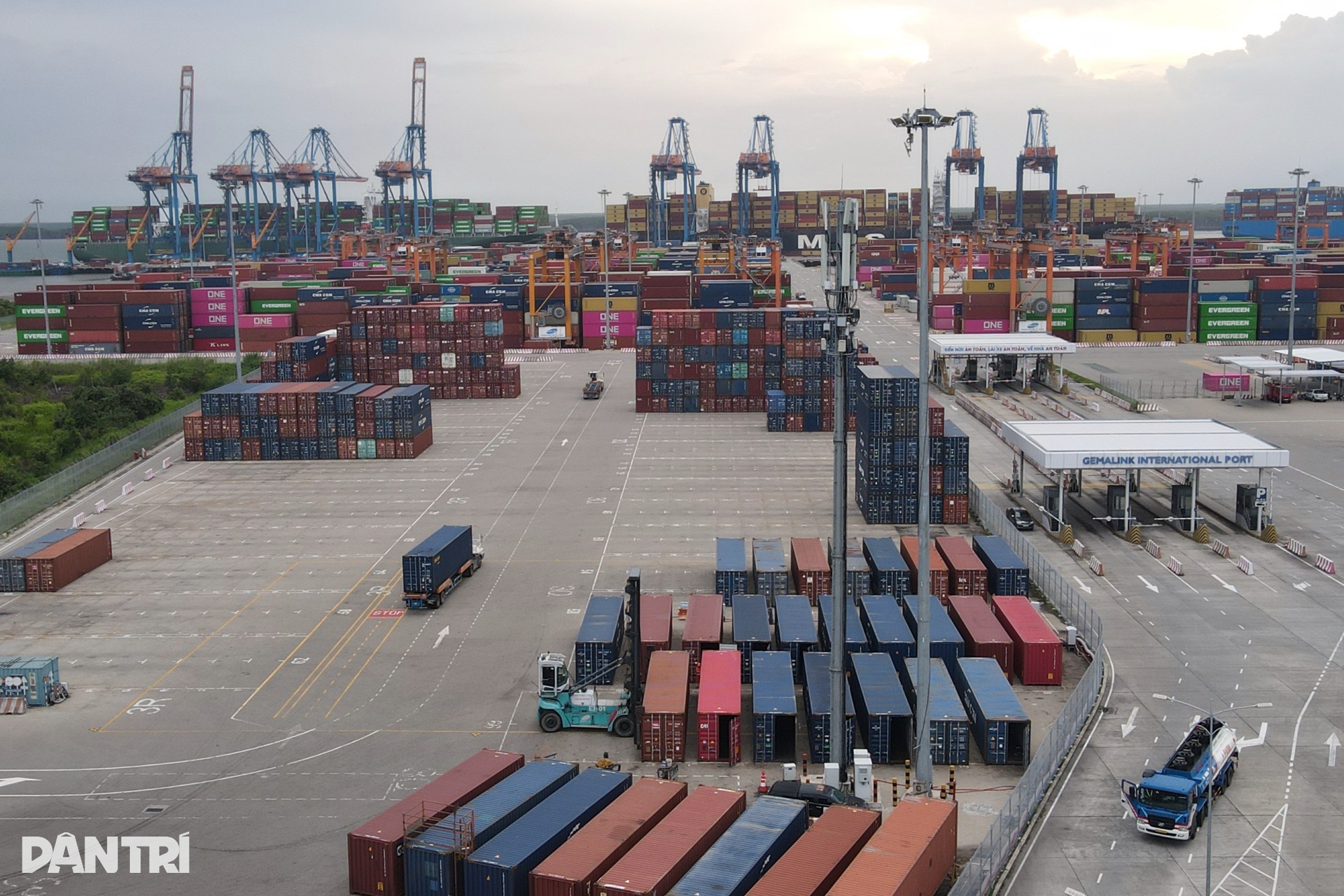 Ngắm đường gần 4.000 tỷ đồng xuyên rừng ngập mặn vào cảng Cái Mép - Thị Vải - 13