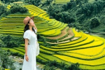 Du khách đổ về mùa vàng Mù Cang Chải, đơn vị lữ hành "ào ào" chốt tour