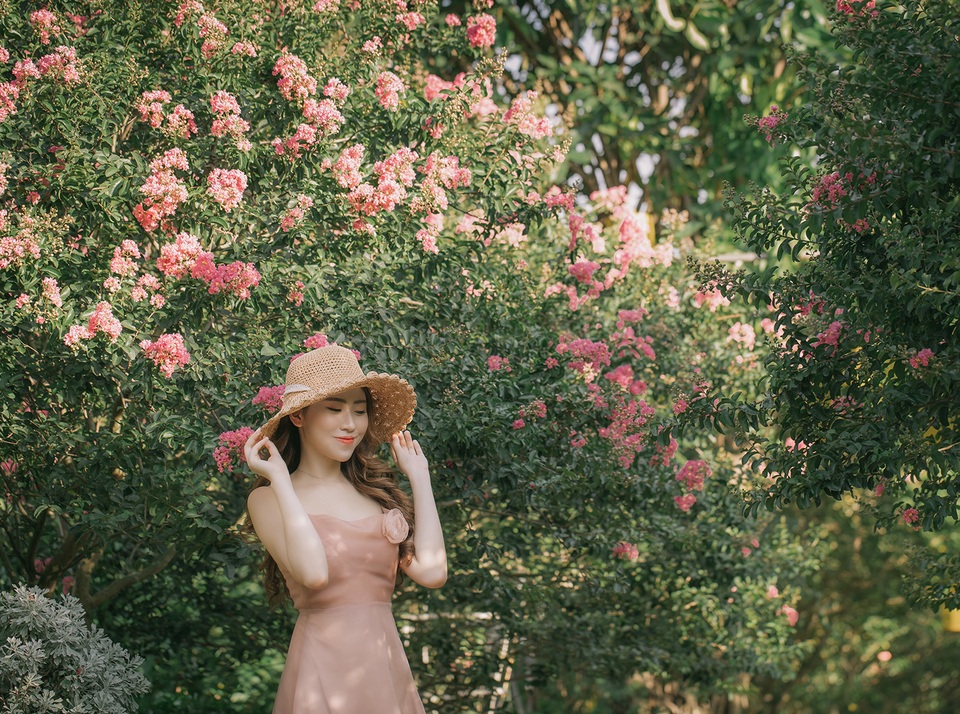 Lặng ngắm con đường hoa tường vi, đẹp như mơ giữa lòng Hà Nội - 3 Lặng ngắm con đường hoa tường vi, đẹp như mơ giữa lòng Hà Nội - 3