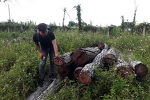 Bí ẩn chiếc xe tải chở gỗ lậu “qua tay” 2 hạt trưởng kiểm lâm tại Gia Lai!