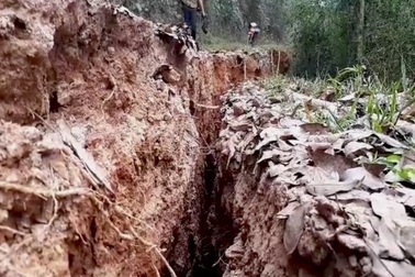 Nứt núi, di dời khẩn cấp hơn 10 hộ dân