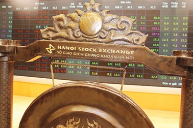 Ngày mai, 15 triệu cổ phiếu FIT sẽ chính thức lên sàn