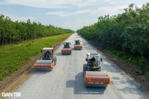 Rừng cao su xanh mướt ôm trọn đường Hồ Chí Minh đoạn qua tỉnh Bình Dương