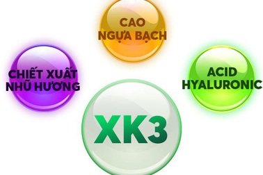 Bí mật đằng sau công thức hỗ trợ giảm đau khớp