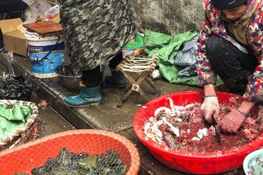 Virus corona hoành hoành, hàng Trung Quốc vào Việt Nam ảnh hưởng ra sao?