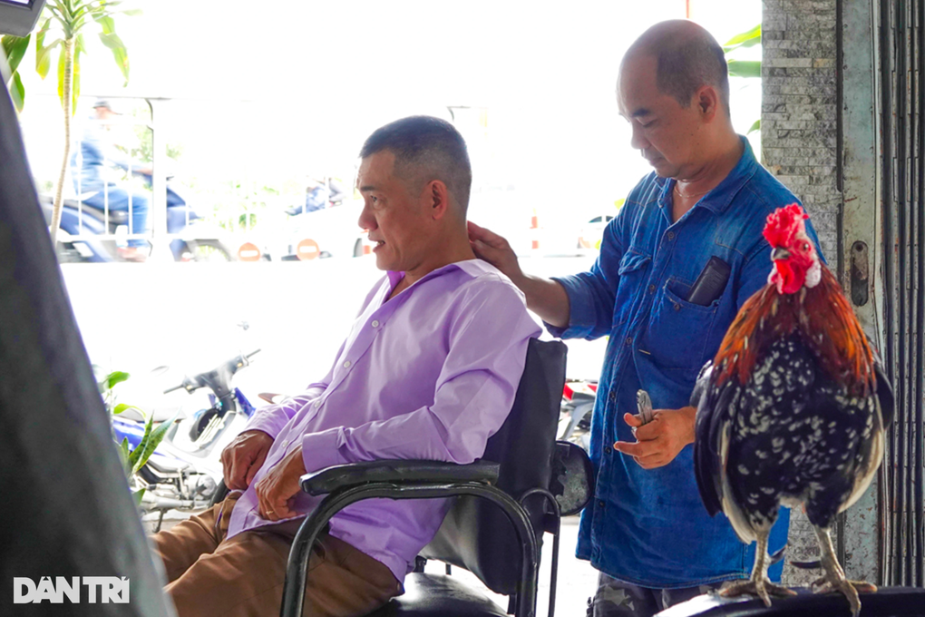 Chú gà thông minh của anh cắt tóc, biết đón khách và thích được vuốt ve - 4 Chú gà thông minh của anh cắt tóc, biết đón khách và thích được vuốt ve - 4