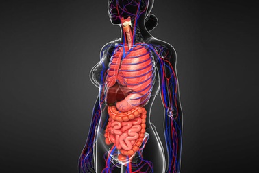 Ba dấu hiệu cho thấy gan đang mắc phải vấn đề nghiêm trọng