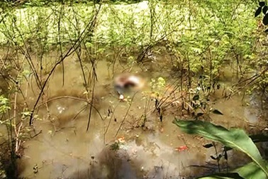 Xác định được nghi can giết cô gái, quẳng xác xuống ao