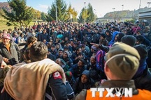 Cảnh sát Đức ồ ạt ra quân truy quét đường dây buôn người