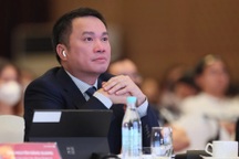 Con gái tỷ phú Hồ Hùng Anh dự chi 2.700 tỷ đồng gom hơn 82 triệu cổ phiếu