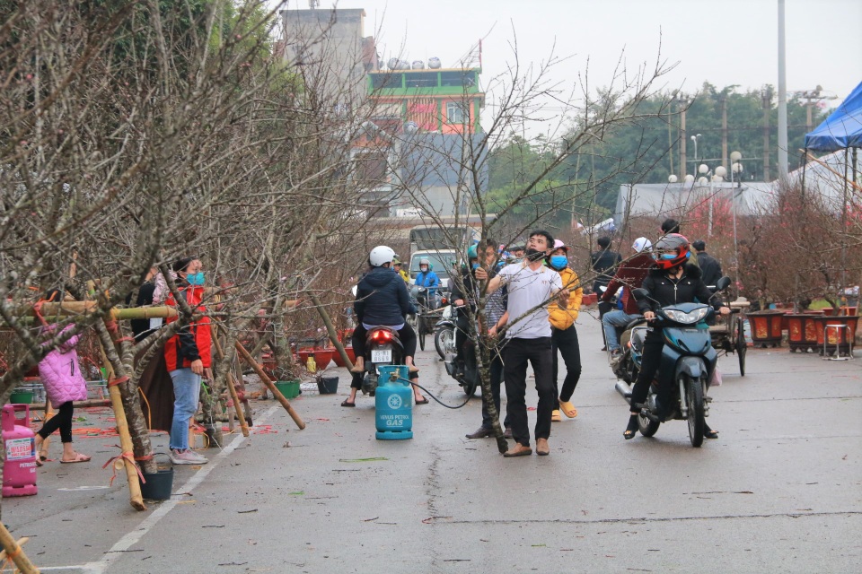 Người dân nô nức rước nàng xuân về nhà khi dịch Covid-19 được khống chế - 6 Người dân nô nức rước nàng xuân về nhà khi dịch Covid-19 được khống chế - 6