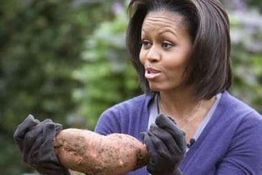 Bà chủ Nhà Trắng thu hoạch vụ rau thứ 2 