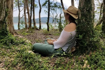 Học người Nhật cách “chữa bệnh” bằng rừng