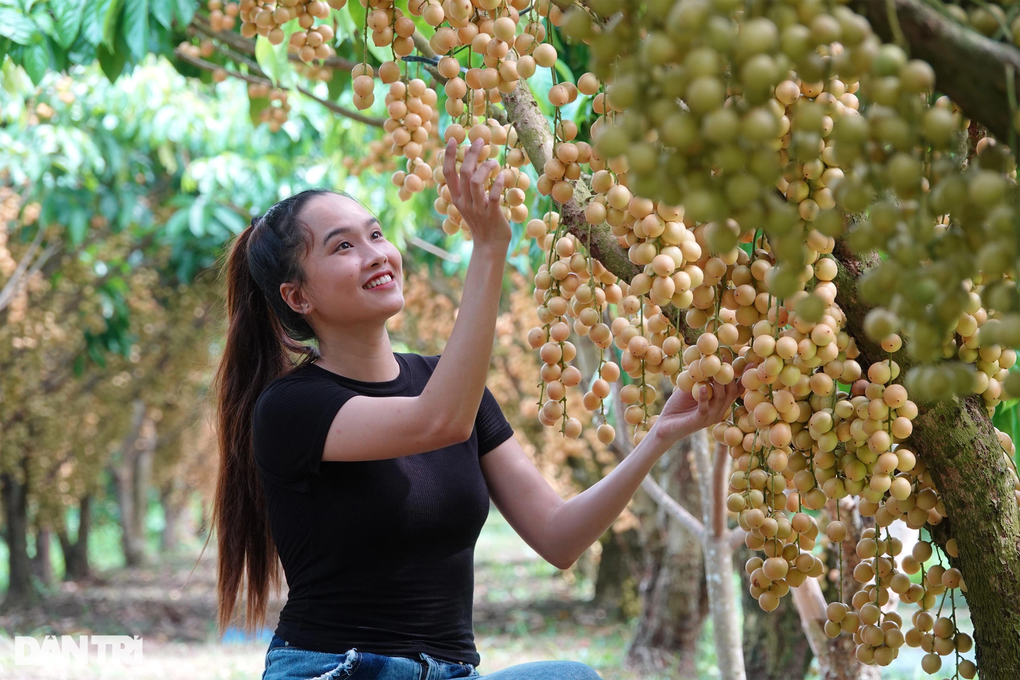 Du lịch miền Tây vẫn hút khách trong dịp lễ 30/4 - 1 Du lịch miền Tây vẫn hút khách trong dịp lễ 30/4 - 1