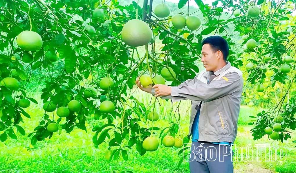 Học Bác “nói đi đôi với làm” - 1