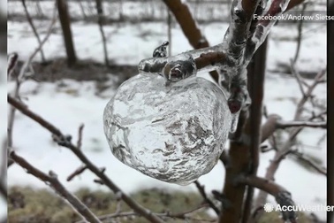 "Táo ma" xuất hiện trong ngày thời tiết lạnh cực điểm