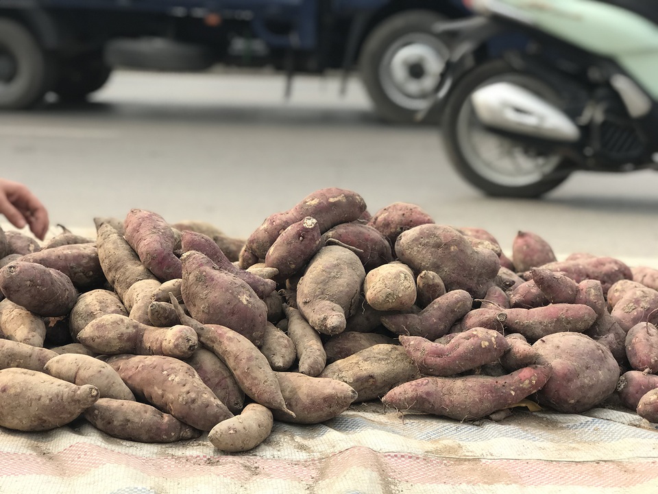 Hàng chục tấn khoai lang nằm la liệt, chờ giải cứu trên vỉa hè Hà Nội - 6 Hàng chục tấn khoai lang nằm la liệt, chờ giải cứu trên vỉa hè Hà Nội - 6
