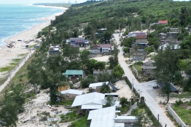 Khoảng 2,5ha rừng phòng hộ ven biển tại Huế bị chặt phá