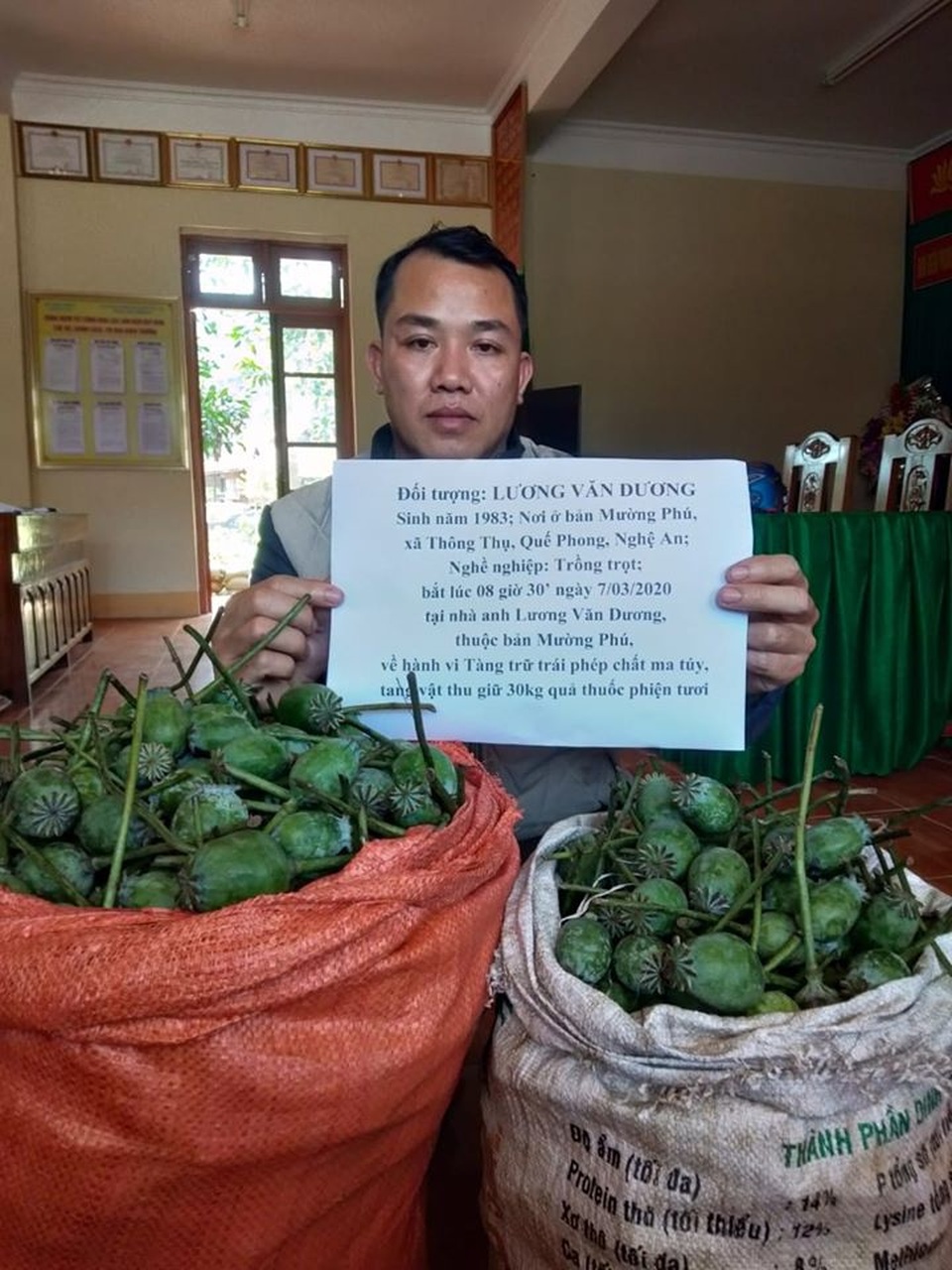Bắt đối tượng giấu 3 yến quả thuốc phiện tươi - 1 Bắt đối tượng giấu 3 yến quả thuốc phiện tươi - 1