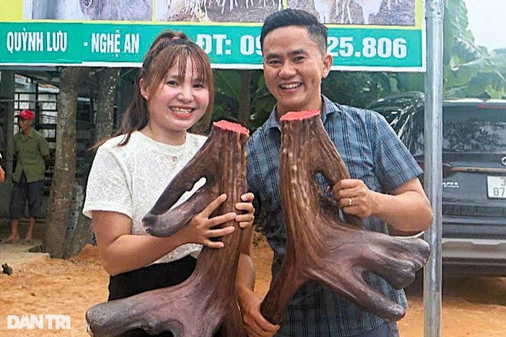 Chàng trai trẻ sở hữu đàn nai thu nhập cả tỷ đồng mỗi năm - 2 Chàng trai trẻ sở hữu đàn nai thu nhập cả tỷ đồng mỗi năm - 2