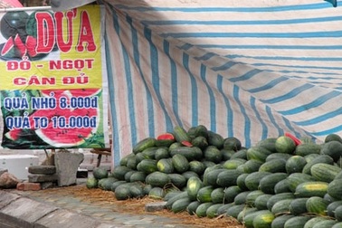 Hoa quả nội “chết đứng” vì nghi án hàng Tàu