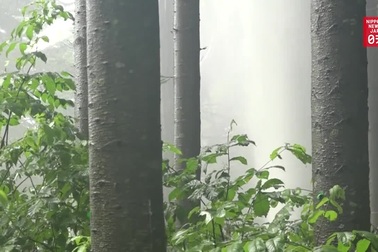 Mạch nước ngầm bất ngờ phun mạnh với cột nước cao 40m trước đền thờ