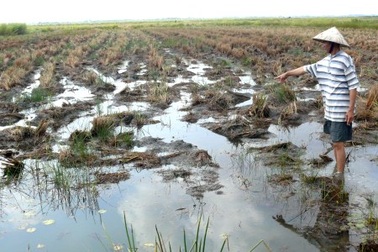 Vụ dân kéo đến UBND kiện cán bộ: Làm rõ sai phạm của cán bộ