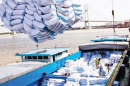 Trung Quốc nhập gạo từ Việt Nam tăng đột biến với giá cao kỷ lục