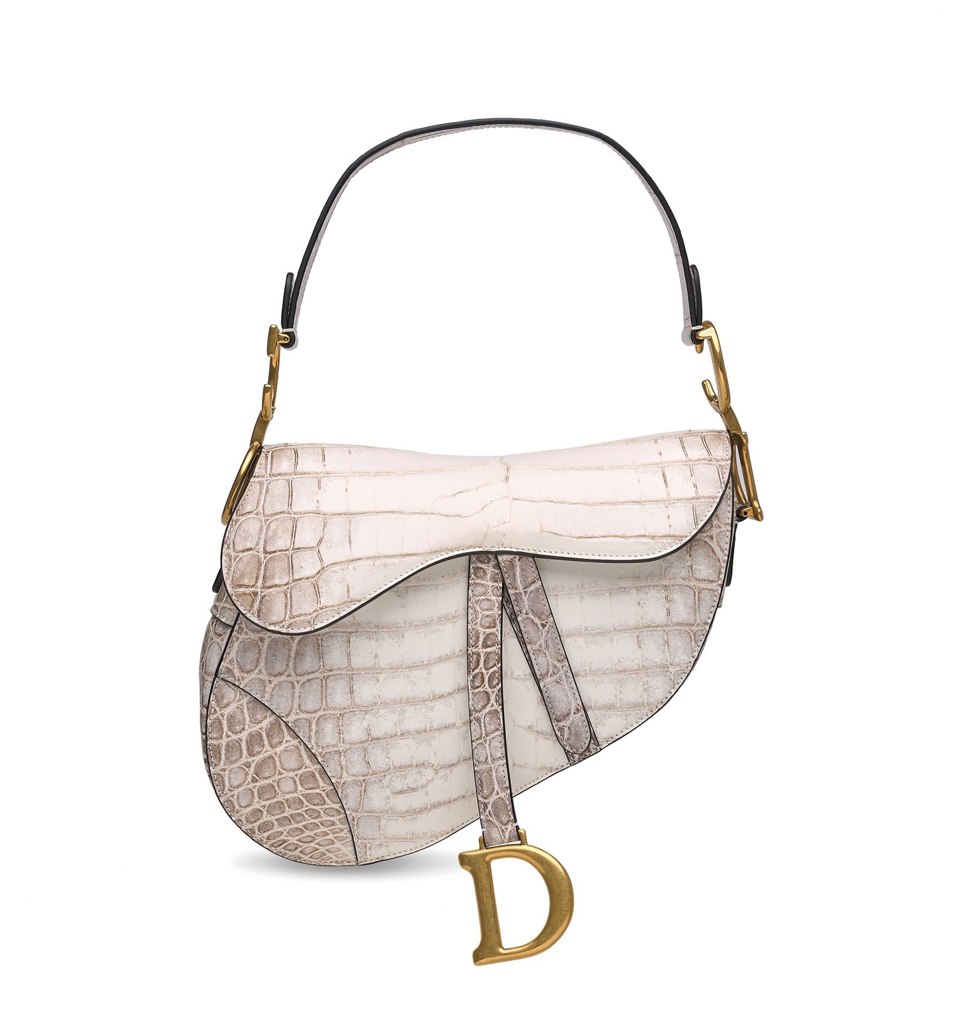 Loạt thiết kế da cá sấu siêu hiếm giống túi Hermès bà Trương Mỹ Lan xin lại - 11 Loạt thiết kế da cá sấu siêu hiếm giống túi Hermès bà Trương Mỹ Lan xin lại - 11