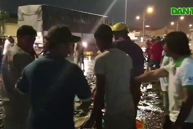 Hơn 100 người gom 2,7 tấn cá bị đổ tràn trên quốc lộ