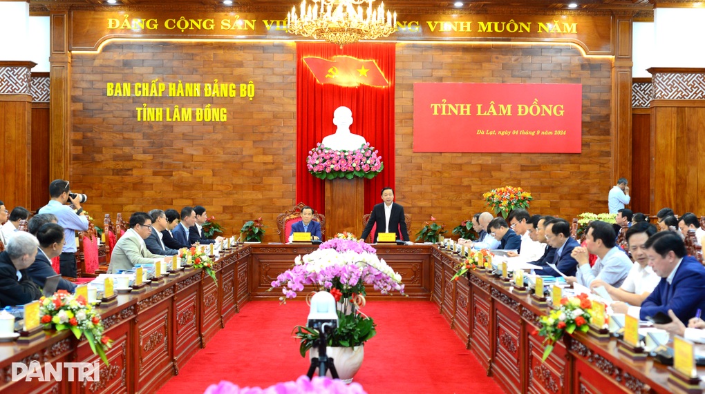 Tìm phương án giảm thiệt hại rừng ở cao tốc Nha Trang - Đà Lạt - 1 Tìm phương án giảm thiệt hại rừng ở cao tốc Nha Trang - Đà Lạt - 1