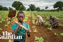 Lao động nô lệ trong các trang trại nông nghiệp ở châu Âu