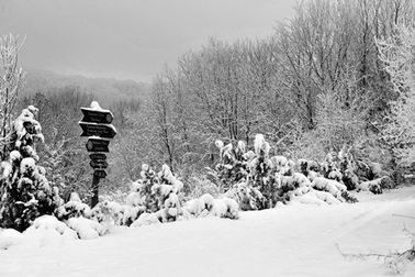 Chùm ảnh: Châu Âu vào Đông!