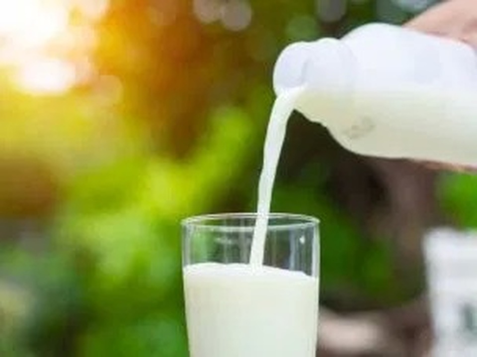 Sản phẩm sữa có thể bảo vệ chống lại đái tháo đường và tăng huyết áp? - 1 Sản phẩm sữa có thể bảo vệ chống lại đái tháo đường và tăng huyết áp? - 1