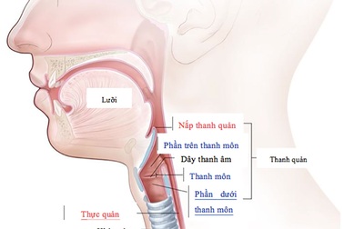 Phòng bệnh ung thư thanh quản