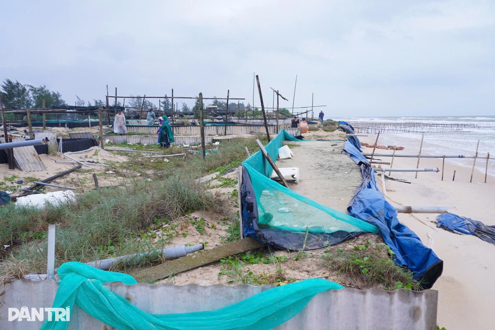 Vỡ hồ nuôi ốc hương, nhiều hộ dân mất trắng tiền tỷ - 3 Vỡ hồ nuôi ốc hương, nhiều hộ dân mất trắng tiền tỷ - 3