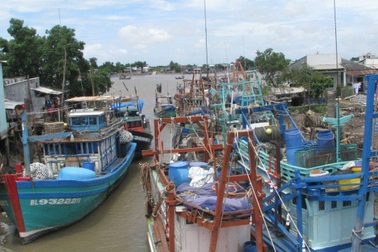 Cấm tàu thuyền ra khơi từ 7h sáng ngày 20/12